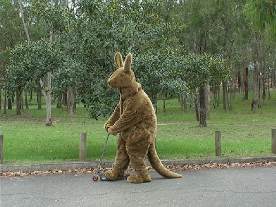 [Image: kangarooCostume062.jpg]